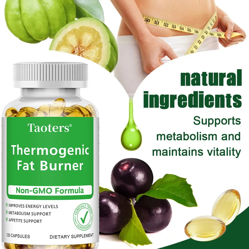 Green Tea Extract Fat - Estratto di tè verde - con