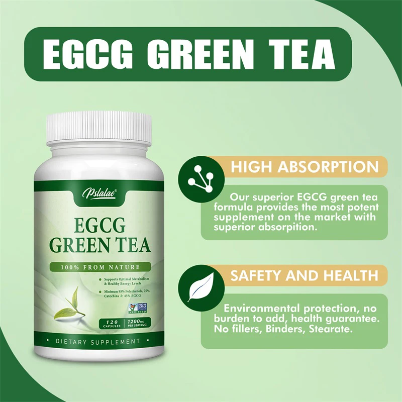 Green Tea Extract Fat - Estratto di tè verde EGCG: aumenta