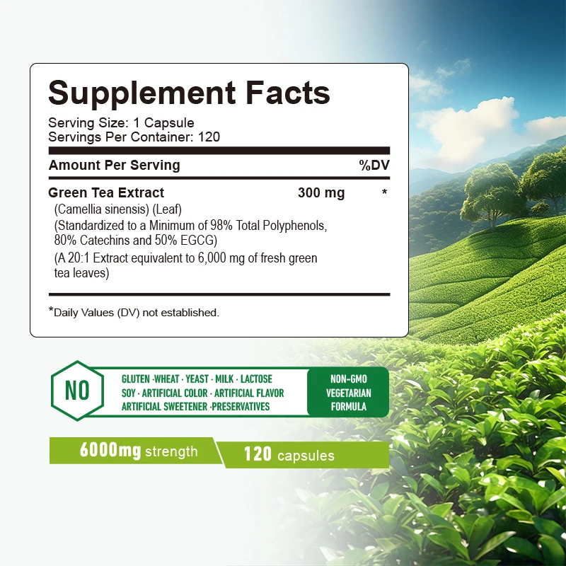 Capsule di tè verde: aumenta i - Green Tea Extract Fat recensione e prezzo