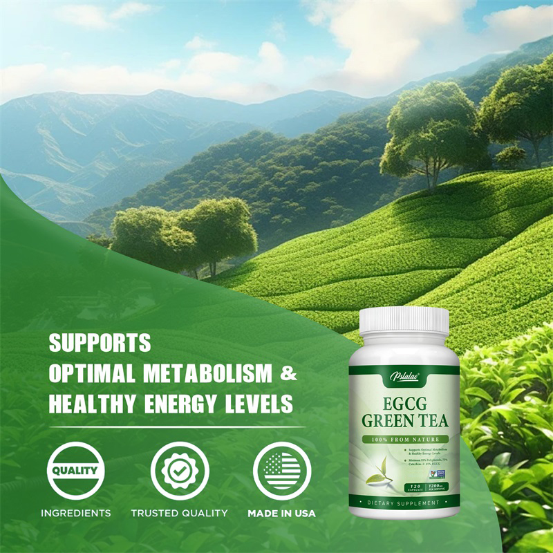 Estratto di tè verde EGCG-aume - Green Tea Extract Fat recensione e prezzo