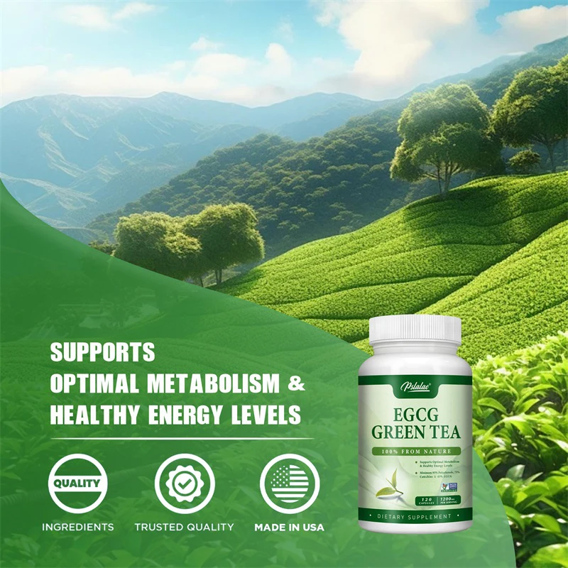 Estratto di tè verde EGCG: aum - Green Tea Extract Fat recensione e prezzo